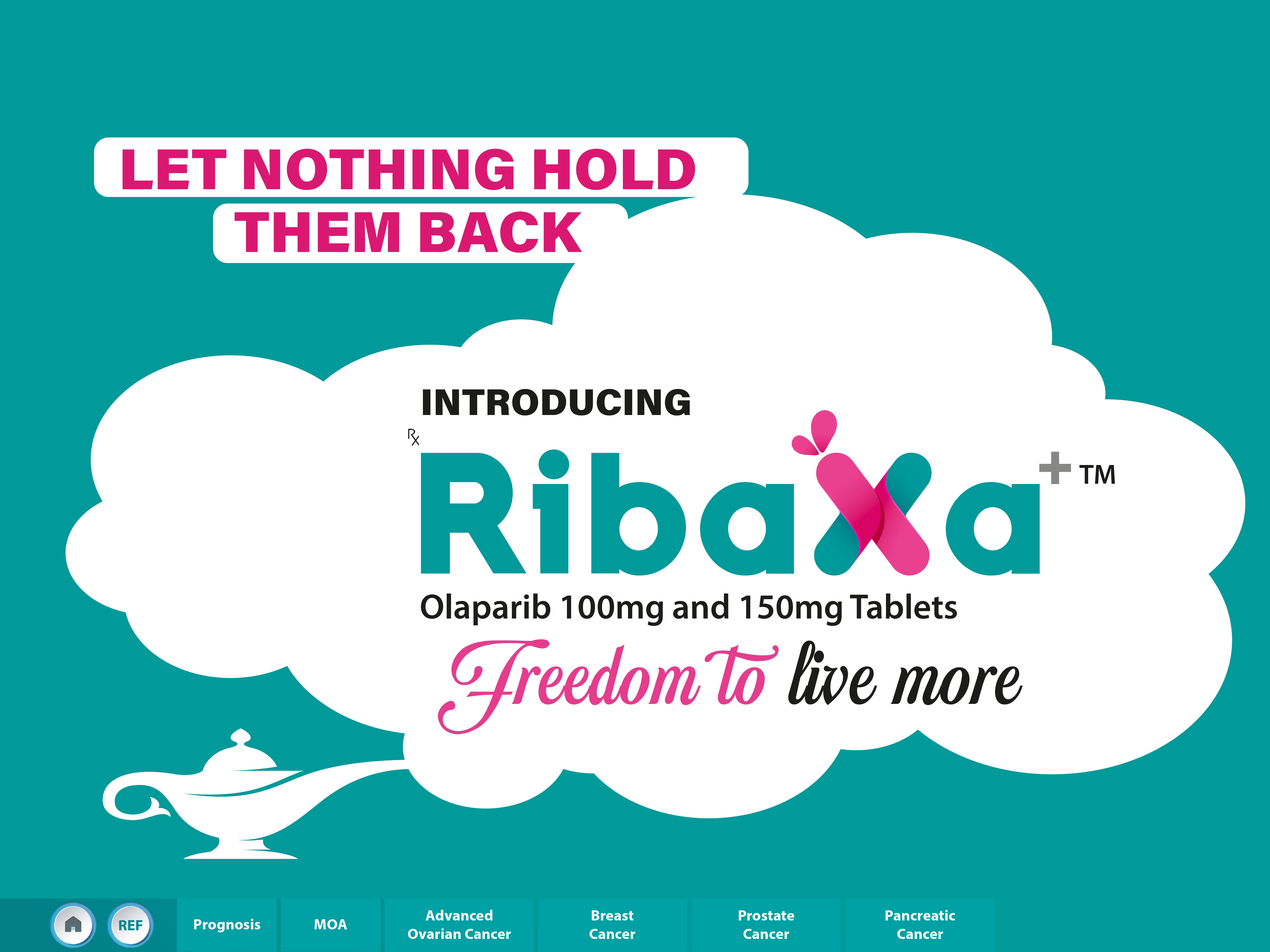 Ribaxa visual aid page 2